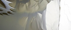 spray-drying-powder-without-product-recovery-001 spray-drying-powder-without-product-recovery-001